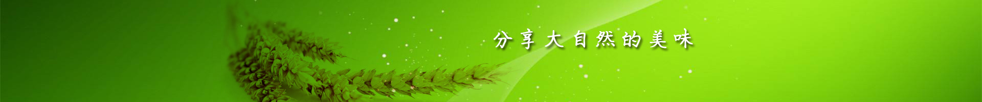 焦作市金海食品有限公司_金海面業(yè)_趙氏金海 焦作市金海食品有限公司_金海面業(yè)_趙氏金海